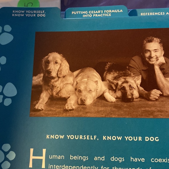 “Cesar’s Way,” Journal! - Picture 4 of 5